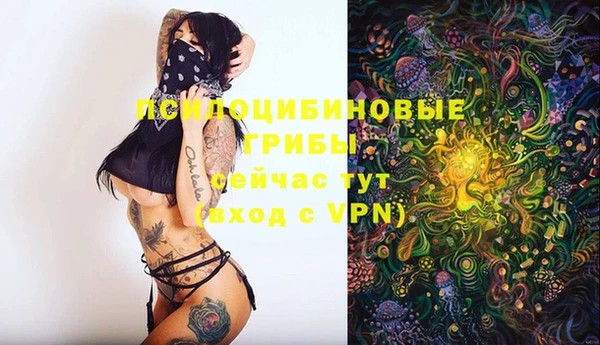 твердый Алзамай