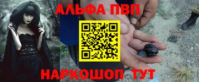 сатива Кингисепп