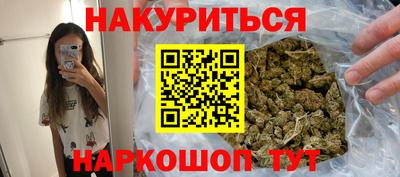 сатива Кингисепп