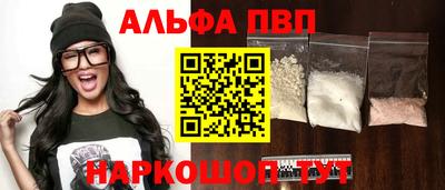 сатива Кингисепп