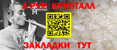 сатива Кингисепп