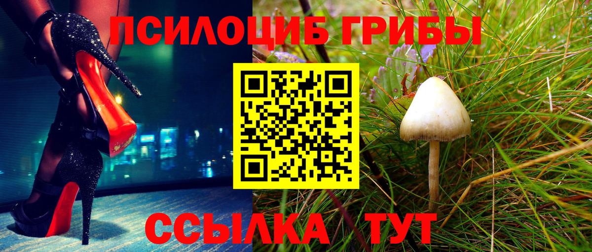 Изобильный  Псилоцибиновые грибы Psilocybine cubensis  Вход с VPN 