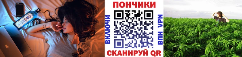 Шишки марихуана Amnesia  купить   Изобильный 